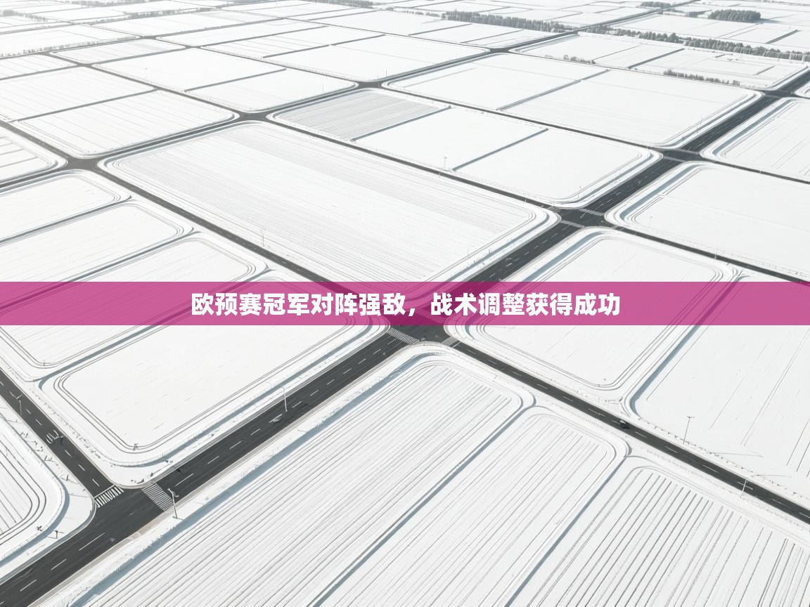 欧预赛冠军对阵强敌，战术调整获得成功  第1张