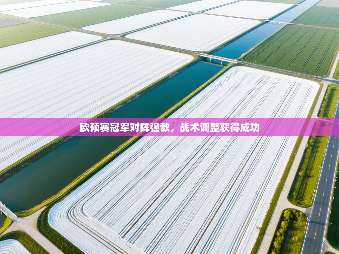 欧预赛冠军对阵强敌，战术调整获得成功  第2张